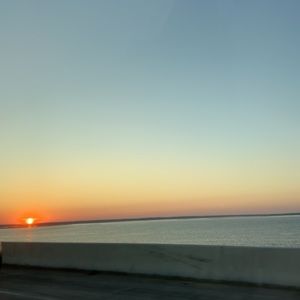 Meet your Posher, Leighton